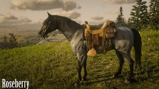 Red Dead Online Missouri Fox Trotter Blue Roan [upl. by Branscum]