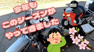 今年もこのシーズンがやってきました [upl. by Clay]