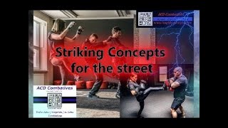 Striking for the street Martial Arts amp Combatives [upl. by Rehpatsirhc274]