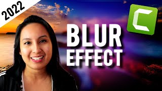 Camtasia 2022 New Effect  Using The Blur Region Feature [upl. by Riannon47]