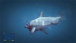 Guide Comment amp Où Trouver Le Requin Dans GTA 5 [upl. by Ylloh79]