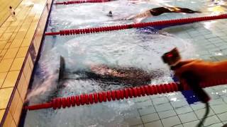 Anita Jasso 150m winning DYN Freedive at Bristol Freediving Competition 2016 [upl. by Towny946]