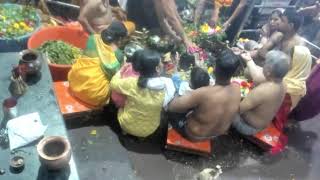 Grishneshwar Jyotirlinga Temple Live Stream [upl. by Theodor]