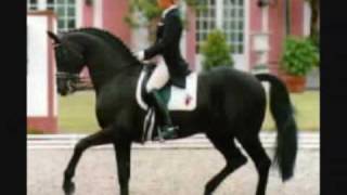 Legendary Dressage Stallion Rubinstein [upl. by Airpal]