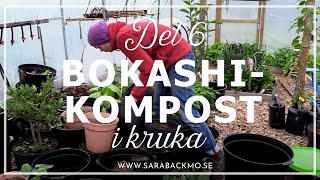 Bokashi del 6 Krukor fyllda med bokashikompost [upl. by Dusza]