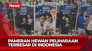 Pameran Hewan Peliharaan Terbesar di Indonesia  iNews Today 1009 [upl. by Duj]