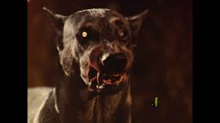 Draculas Dog AKA Zoltan Hound of Dracula TV Spot 1978 [upl. by Hasseman]