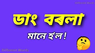 ডাংবৰলা  ৰ ইংৰাজী কি  ডাংবৰলা মানে কি  Assamese to English vocabulary  words meaning [upl. by Atekihs]