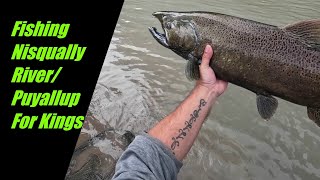 Nisqually River Egg FishingPuyallup River King Salmon [upl. by Apostles869]