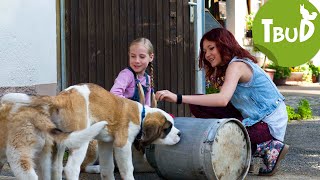 Welpenschutz Folge 59  Tiere bis unters Dach  SWR Plus [upl. by Hpesoj565]