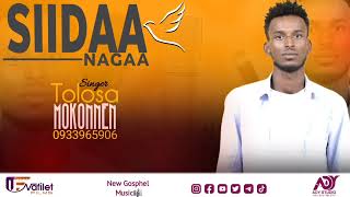 Tolasa Mekonen Siidaa Nagaa amazing song farfaana AFAAN OROMOO HAARA 2014 [upl. by Prescott461]