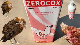 Zerocox  Anticoccidial for Chickens  Treatment for Coccidiosis in Poultry  Dr ARSHAD [upl. by Chobot]