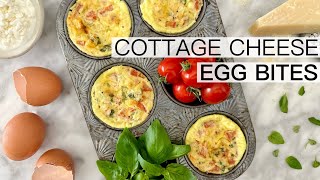 COTTAGE CHEESE EGG BITES [upl. by Troyes]