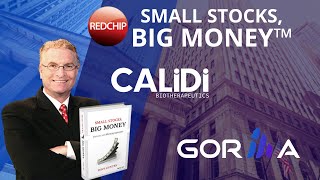 RedChip Highlights Calidi Biotherapeutics NYSE AMERICAN CLDI amp Gorilla Technology NASDAQ GRRR [upl. by Samid932]