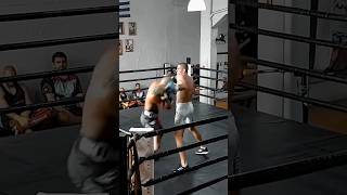 Boxing Sparring Alex Pereira [upl. by Eachern845]