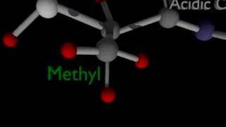 Science Animation amino acids [upl. by Rosalia]