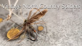 North Country Spiders [upl. by Halilahk142]