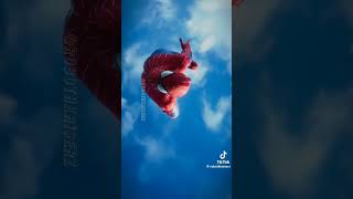 Escena del balanceo the amazing spiderman 2 [upl. by Irmgard]