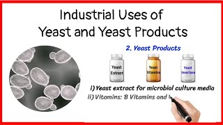 Industrial uses of yeast and yeast products [upl. by Goldia216]