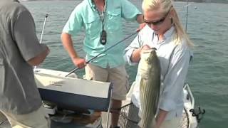 Lake Hartwell Striper Fishing [upl. by Whalen]