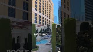 The Bellagio Pools in Las Vegas BEST Las Vegas Pools Part 3 lasvegaspools thevenetianlasvegas [upl. by Sackey]