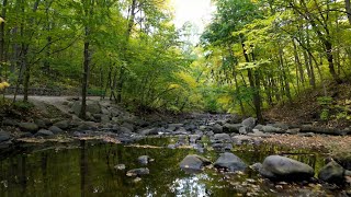 Entry Points of Nine Mile Creek [upl. by Sivlek695]