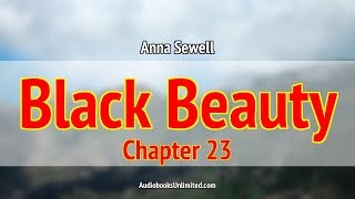 Black Beauty Audiobook Chapter 23 [upl. by Oiramal]