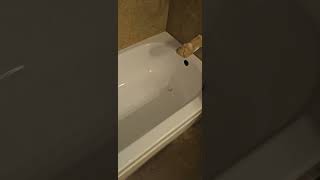 Bathtub Repair and Refinish tubrepair tubrefinish homehacks repair [upl. by Sset]