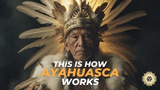 How Ayahuasca works Ayahuasca 101 Understanding its Mechanism [upl. by Claudio]