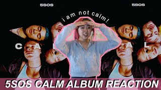 5SOS quotCALMquot ALBUM REACTION [upl. by Klapp]