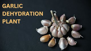 GARLIC DEHYDRATION PLANT [upl. by Anafetse910]