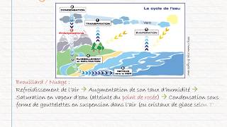 CRPE  Sciences amp Technologies  La matière 22 et lEau [upl. by Tori880]