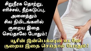 சிறுநீர் தொற்றுக்கு வீட்டு மருத்துவம்  Urine Infection in Tamil  Tamil Health Tips [upl. by Ardnekal]