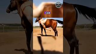 🫨Este CABALLO tiene una inteligencia IQ de 250 curioso inteligente viral animal shorts [upl. by Lidda633]