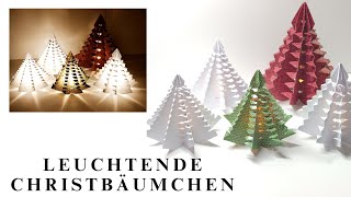 315 Video 🎄Leuchtende Christbäumchen🎄  Weihnachten  Simply Craft  Anleitung  Tutorial  LED🎄 [upl. by Johannah956]