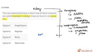 The most advanced kidneys in which loop of Henle is present are called metanephric [upl. by Merl37]