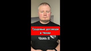 Виды трудовых договоров в Чехии  DPČ и DPP [upl. by Jaine]