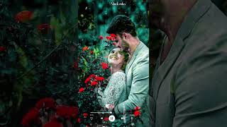 New Romantic Love Music Video Status ❤️❤️❤️ couples love lovemusic viralvideo lovesong romanti [upl. by Laurentium419]