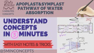 Mass flow bulk flow  Long distance transport Transport in Plant  Class11th  NEET5minconcepts [upl. by Akeihsat]