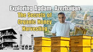 Exploring Agdam Azerbaijan The Secrets of Organic Honey Harvesting [upl. by Anirtap]