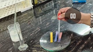 Calcium Oxide reacts with water  Calcium Hydroxide Lime Water  CBSE science experiment [upl. by Abe]