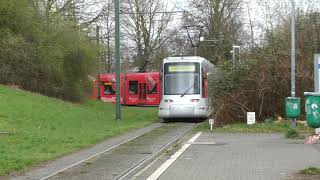 Rheinbahn NF8U an der Endhaltestelle Düsseldorf Uni OstBotanischer Garten Wendeschleife [upl. by Tatianna]