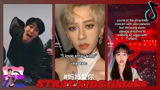 STRAY KIDS tiktoks cuz stays are too funny [upl. by Jaenicke]