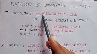 Autolysis of cell  Autolysis in pathophysiology  morphology of irreversible cell injury [upl. by Sirod678]