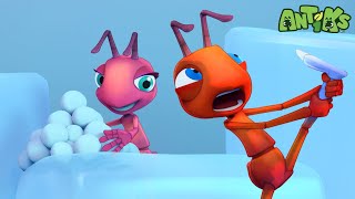 Icy Ants 🥶  Antiks  Science and Nature Cartoons For Kids Moonbug Kids [upl. by Pry527]