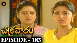 Episode 183  Chakravakam Telugu Daily Serial [upl. by Sachs]