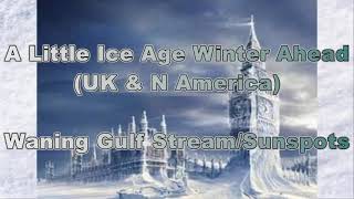 Little Ice Age Winter Weather Ahead UK amp N America  Waning Gulf Stream amp Sunspots [upl. by Elumas]