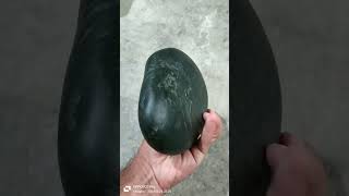 Black nephrite Jade Origin Himalayan Range Weight 2148 kg Color black Deep green translucency [upl. by Aniela316]