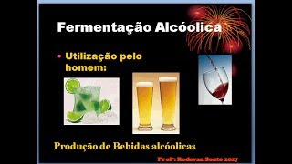 Fermentação Parte 1 Alcoólica láctica acética e Butírica [upl. by Acillegna]