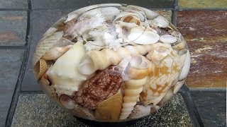 Seashells In Glass Jars [upl. by Aisitel]